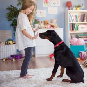 child teaching dog a trick